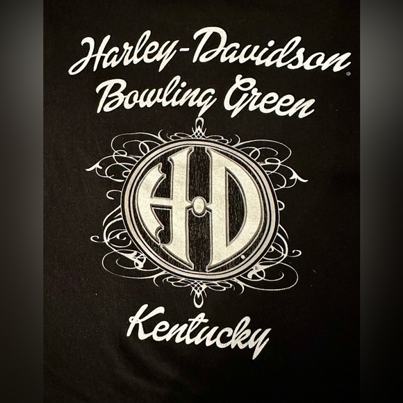 HARLEY DAVIDSON BRIGHT BLUE & BLACK V-NECK T-SHIRT - Medium - Picture 8 of 11